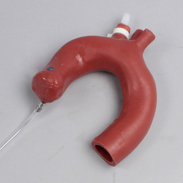 Replaceable Aorta for ECMO Cannulatable Heart