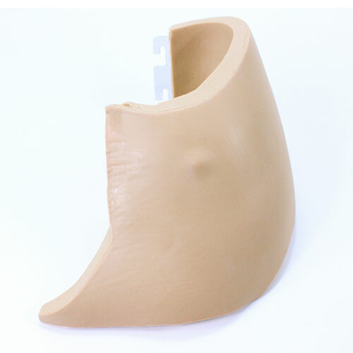 Replacement Left Chest Wall for MICS Thorax (#1382)
