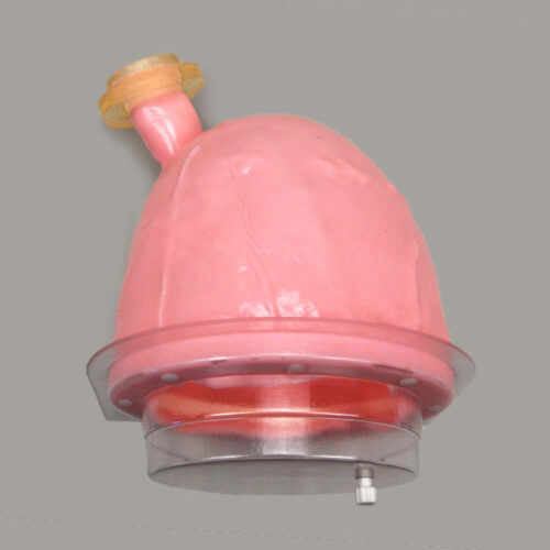 Fundoplication Replacement Stomach (#2086)