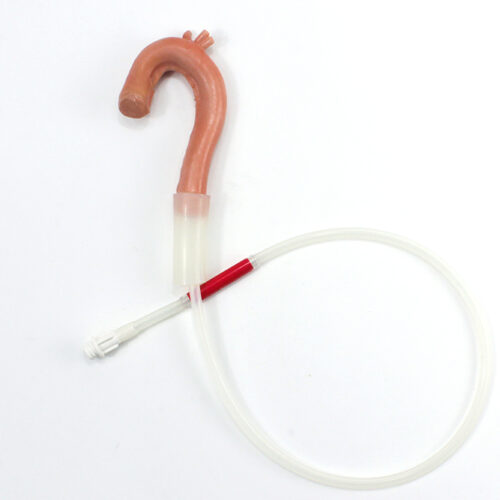 Surgical Sam Aorta (#4119)