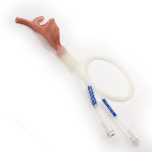 Surgical Sam Right Atrium (#4120)