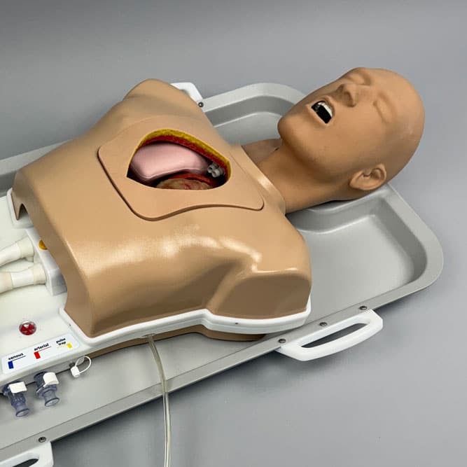 IMG_9073_web ECMO CPB Upper Torso 2 #1656